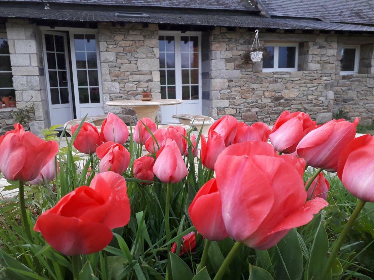 La Petite Berais Bed and Breakfast Missillac Εξωτερικό φωτογραφία